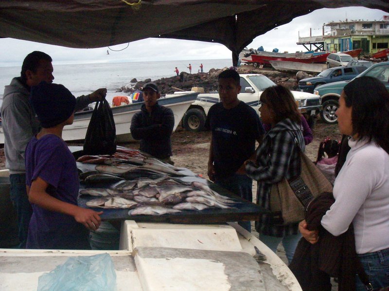21-Popotla-Buying-Fish