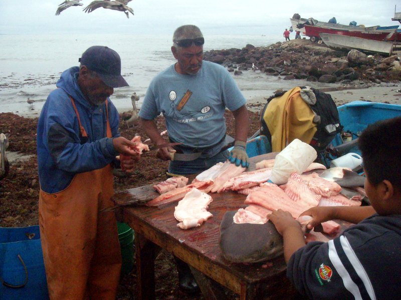 3-Popotla-Fishermen